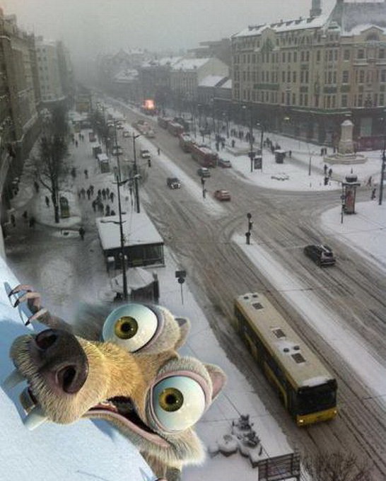 546x680, 115 Kb / белка, зима, scrat