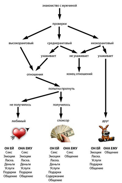 399x600, 43 Kb / схема, отношения