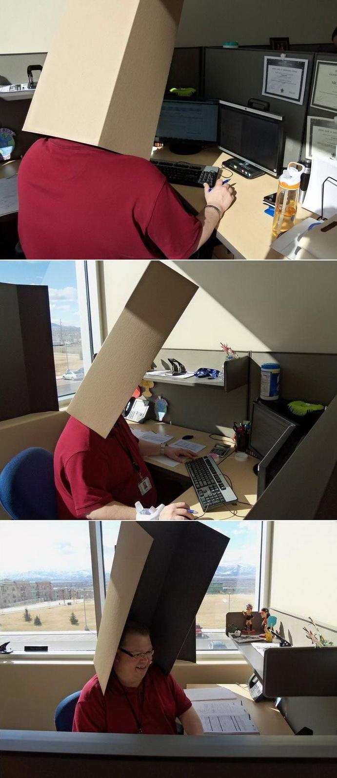 691x1595, 291 Kb / картон, защита, солнце