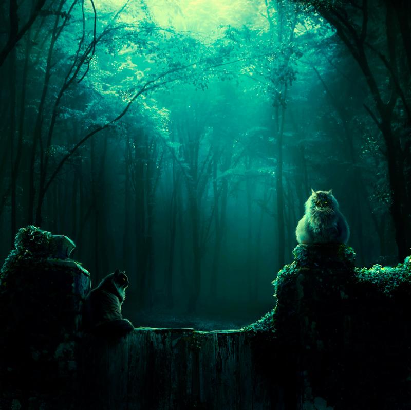 800x798, 66 Kb / кошки, лес, деревья, развалины, мгла