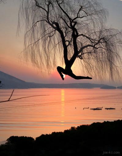 399x512, 42 Kb / дерево, озеро, ноги, полёт