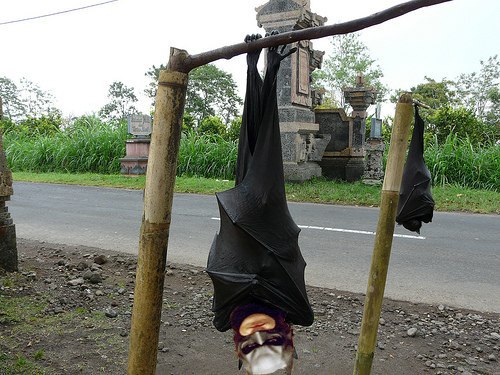 500x375, 67 Kb / бэтмен, турник, еще бэтмен