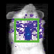 180x180, 21 Kb / Вич, спид, рак, мутация