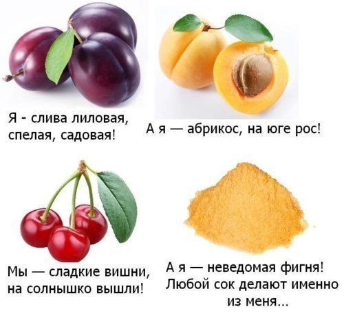 500x463, 42 Kb / слива, вишни, абрикос, неведомая фигня, сок, правда