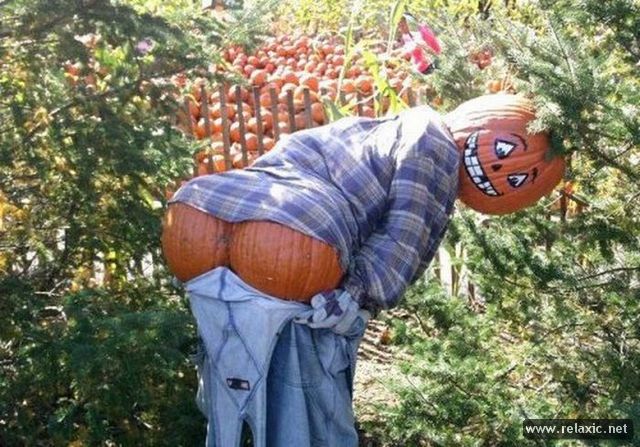 640x447, 85 Kb / пугало, тыква