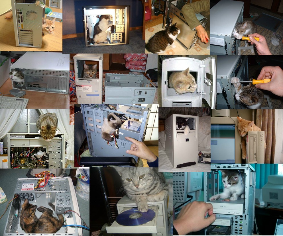 993x829, 254 Kb / коты, железо