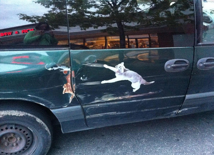 899x652, 283 Kb / авто, кот, царапины