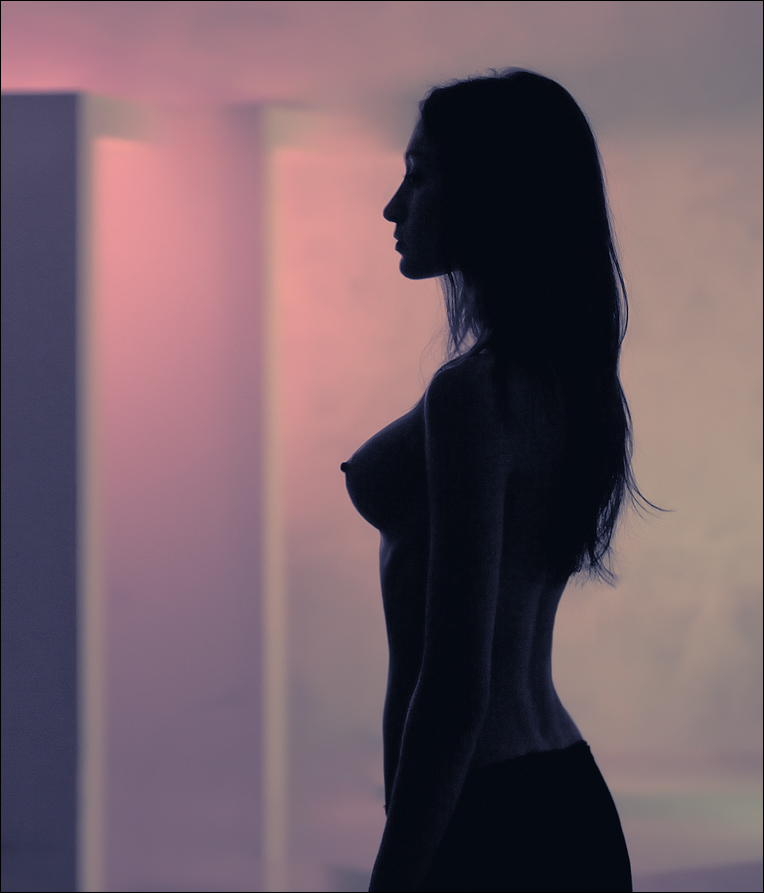 764x893, 267 Kb / сиськи, соски, контур, профиль, темно