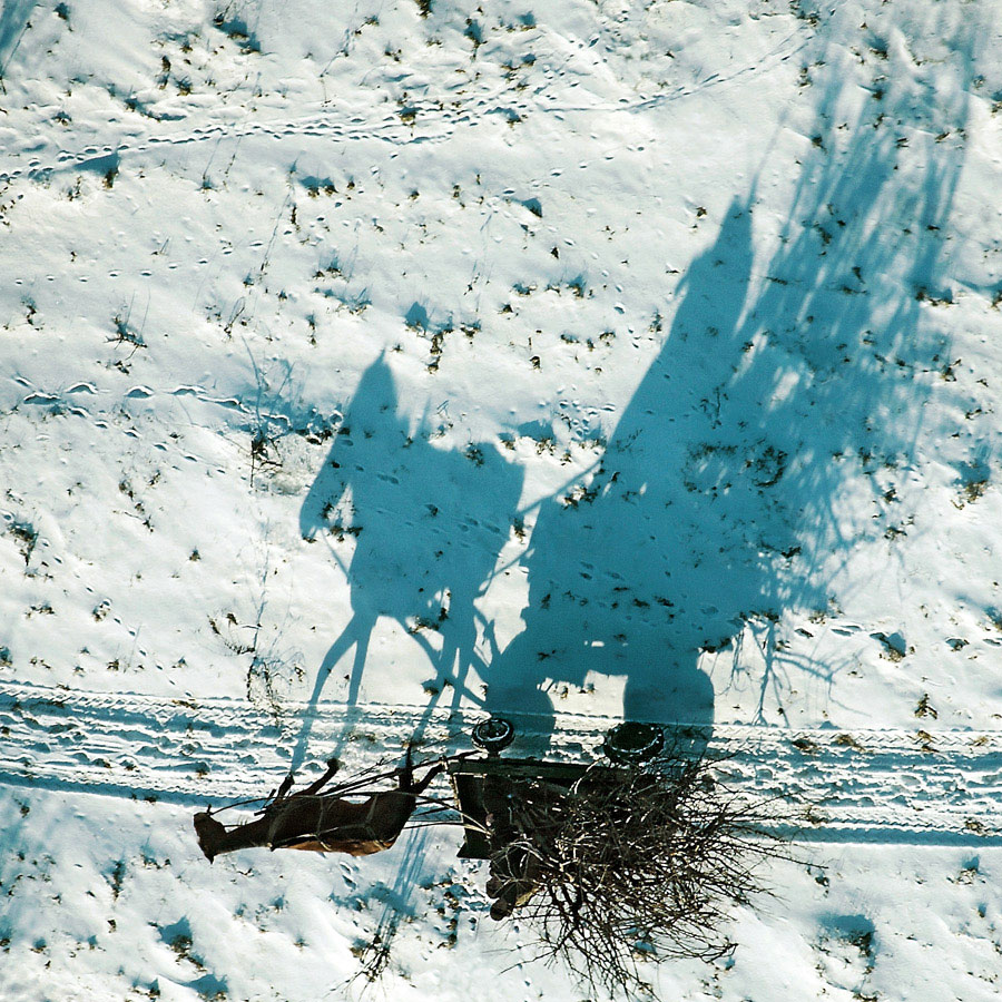 900x900, 293 Kb / снег, повозка, тень