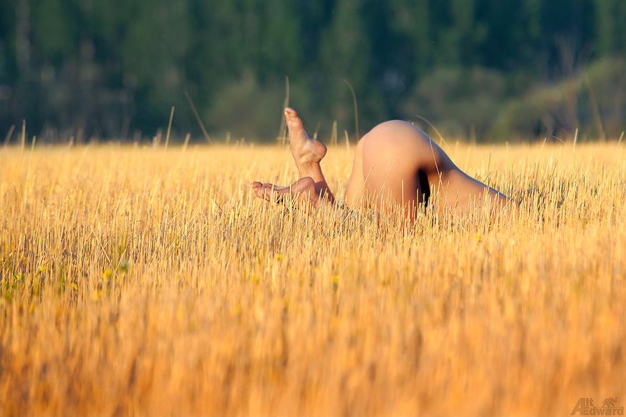 900x600, 289 Kb / поле, попа