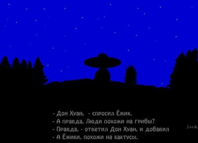 640x465, 14 Kb / ёжик, дон хуан, кактус, гриб