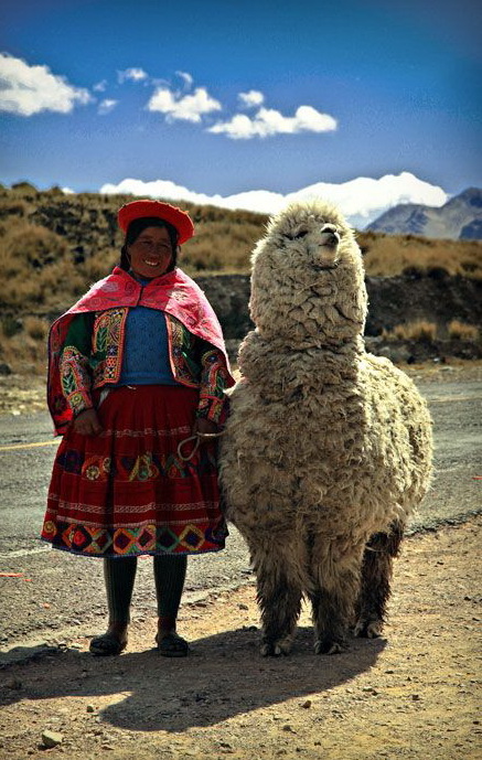 437x689, 151 Kb / женщина, наряд, альпака