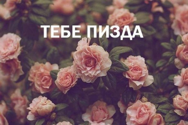 604x403, 50 Kb / пизда