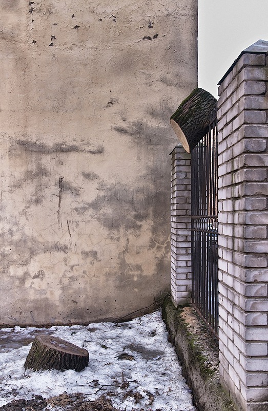 523x800, 206 Kb / пень, дерево, забор