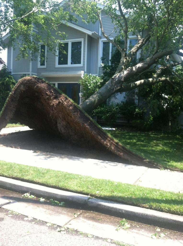 764x1024, 131 Kb / дерево, дом