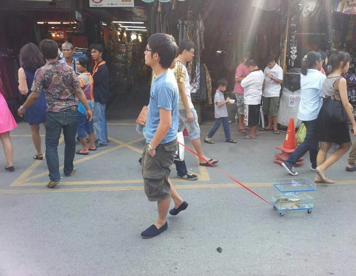 698x540, 142 Kb / китаец, рыба, аквариум, прогулка