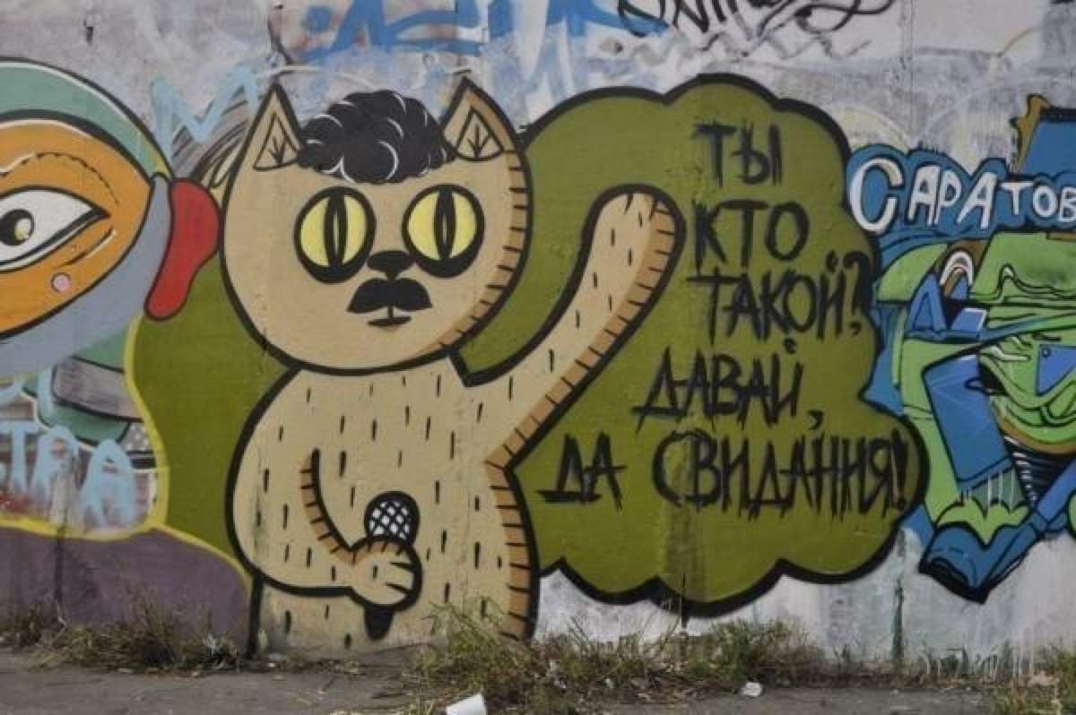 1200x798, 101 Kb / кот, микрофон, граффити, ты кто такой