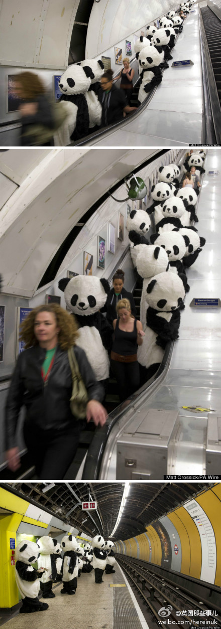 440x1254, 174 Kb / панды, метро, эскалатор