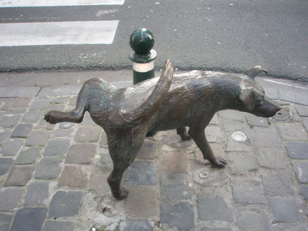 604x453, 60 Kb / Брюссель, писающая собачка