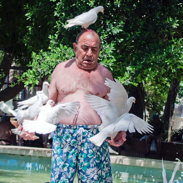 640x640, 119 Kb / фонтан, мужик, семейники, голуби, топлесс