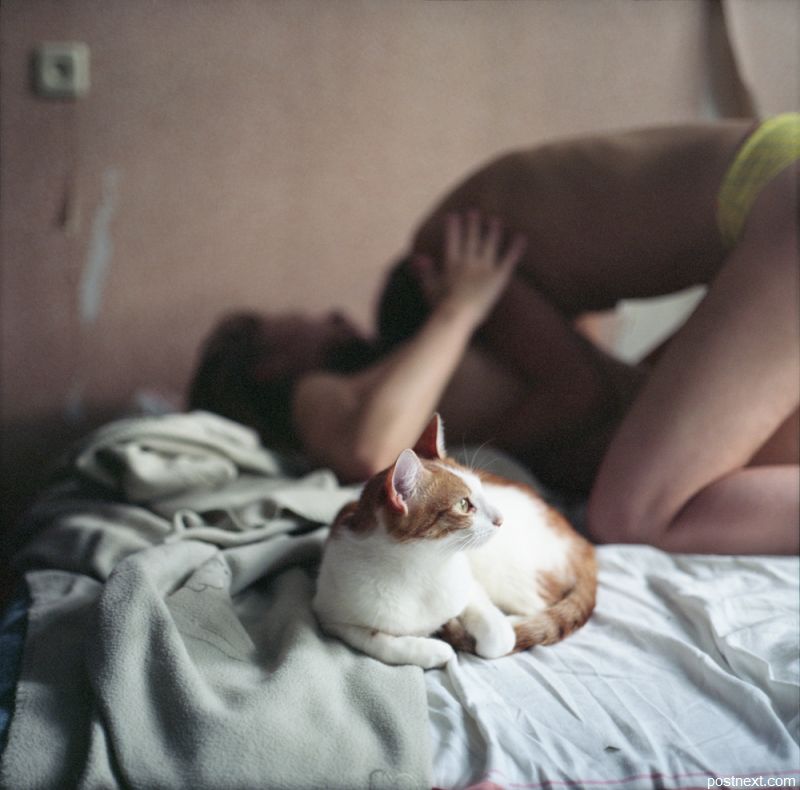 800x790, 69 Kb / котэ, кровать, пара