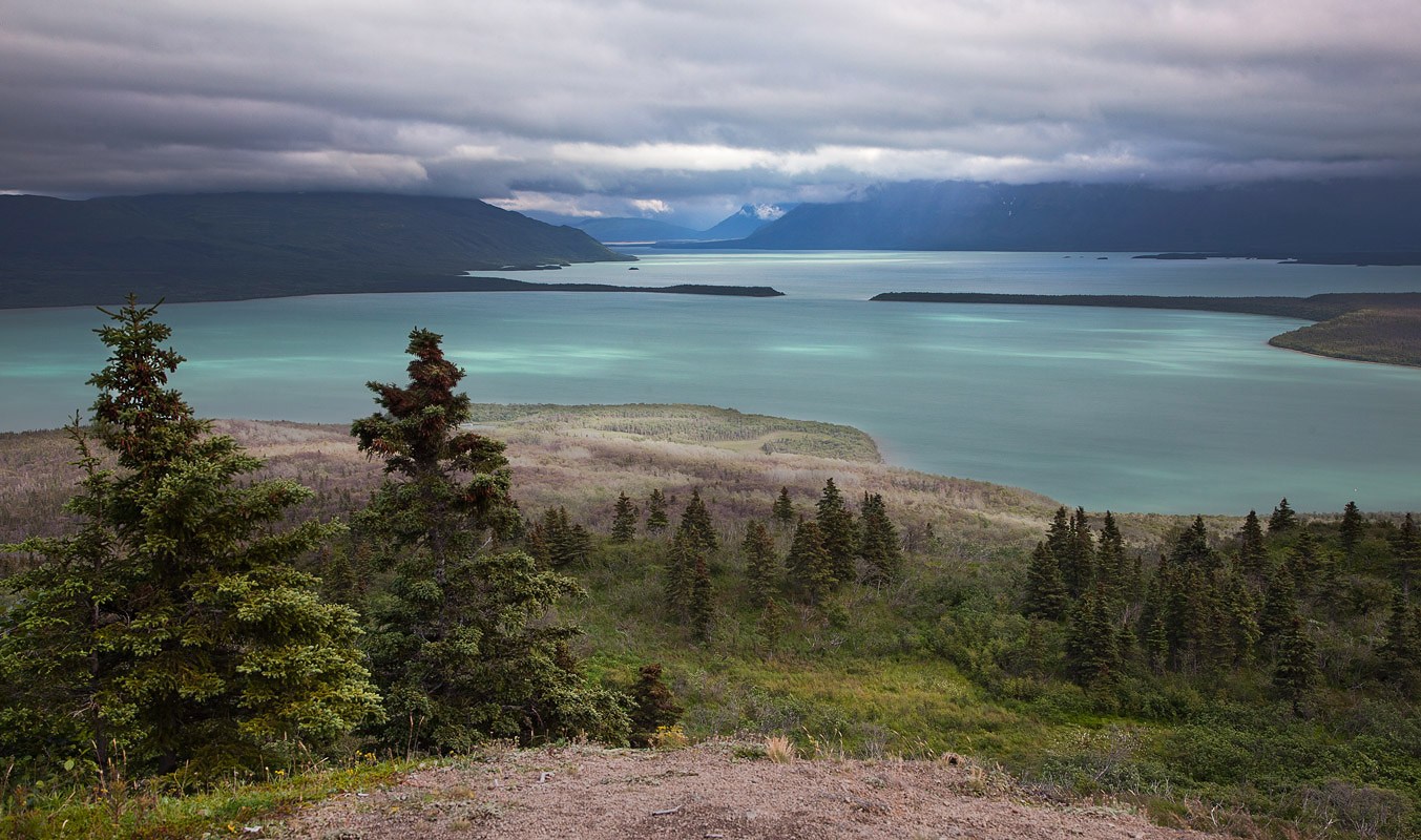 1353x800, 279 Kb / вода,деревья,облака