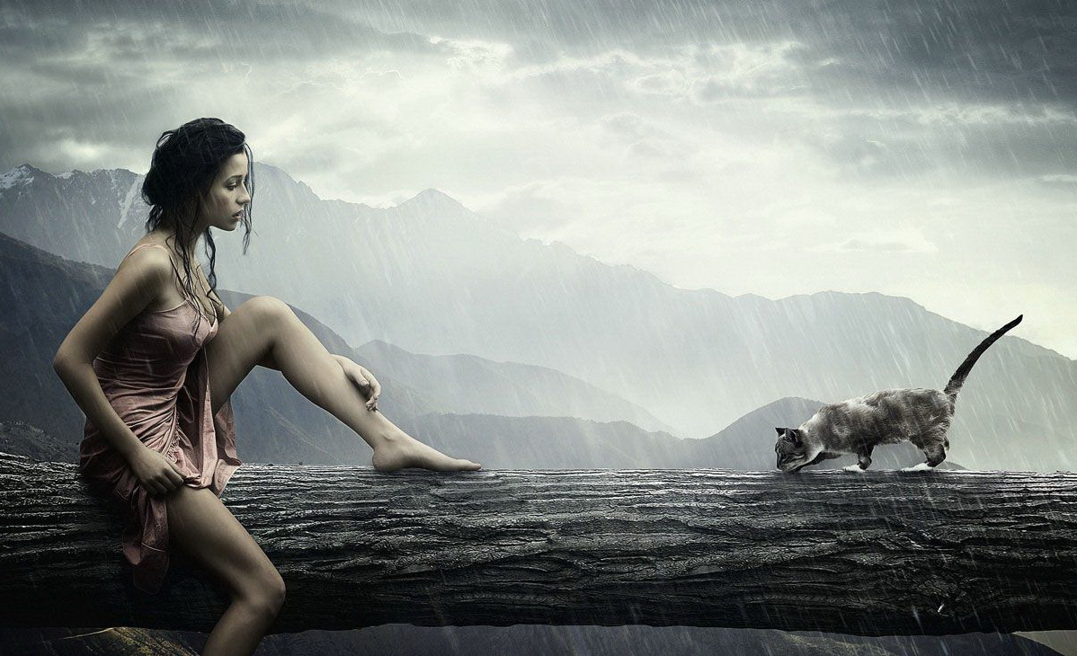 1198x730, 282 Kb / девушка, кот