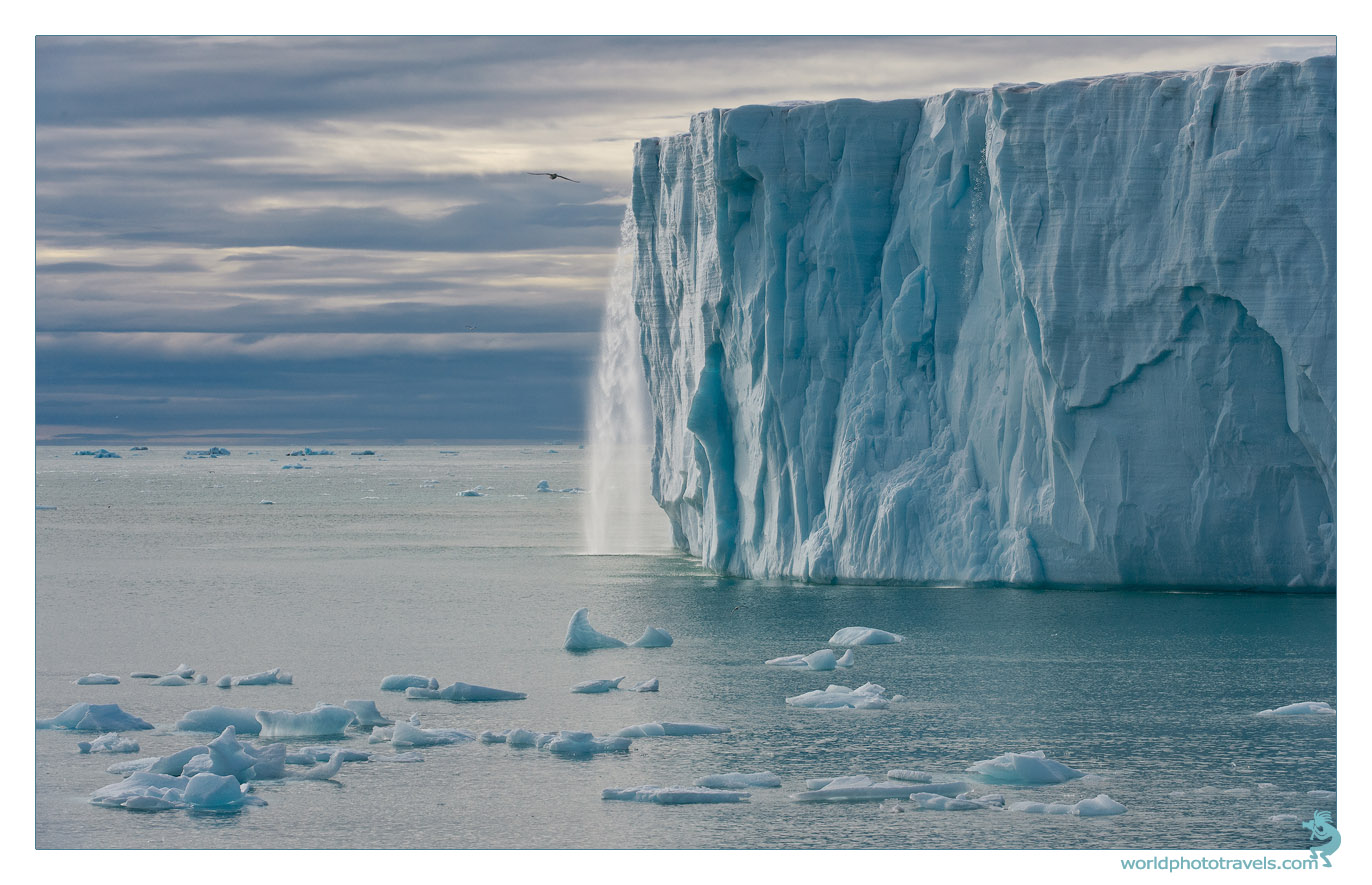 1372x885, 273 Kb / лед,вода,птица