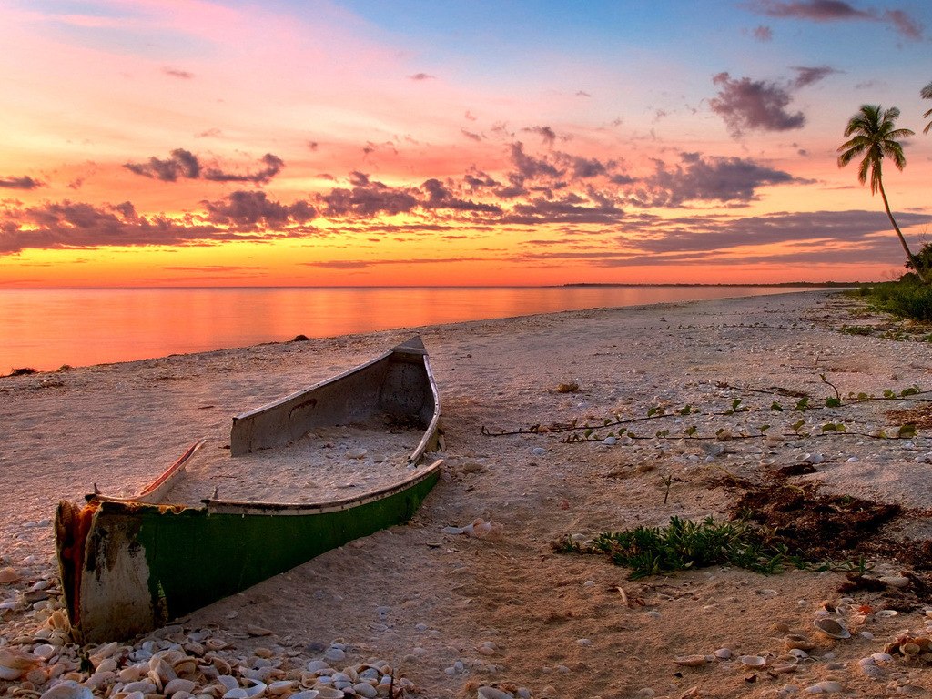 1024x768, 235 Kb / лодка, пляж, закат, пальма, вода