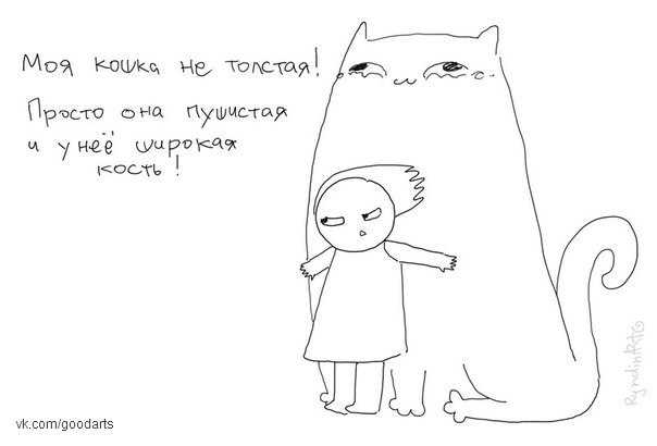 604x410, 24 Kb / кошка, кость, широкая, пушистая, толстая