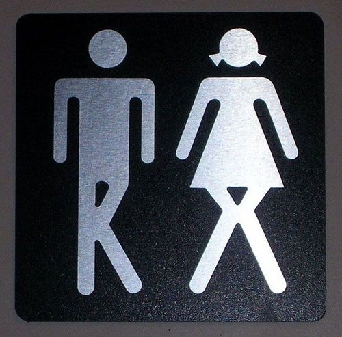 500x493, 47 Kb / WC, терпят