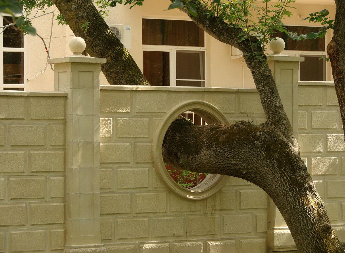 1200x882, 297 Kb / дерево, забор