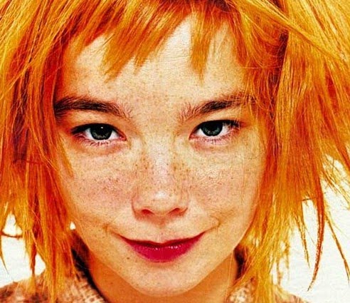 492x425, 58 Kb / рыжик, bjork, рыжая, бьорк