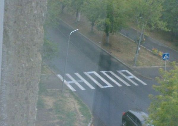 600x424, 29 Kb / зебра, дорога, жопа