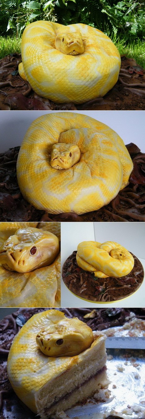 468x1350, 278 Kb / змея, торт