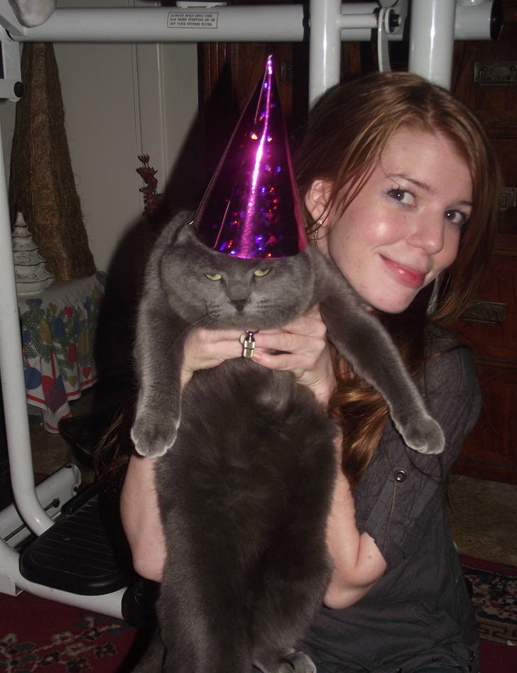 728x948, 180 Kb / кот, колпак, морда