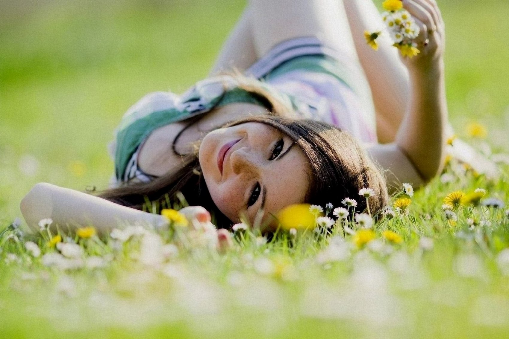 1700x1134, 299 Kb / веснушки, трава, цветы, ромашки