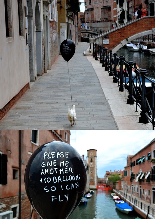 500x707, 139 Kb / курица, улица, шарик, летать