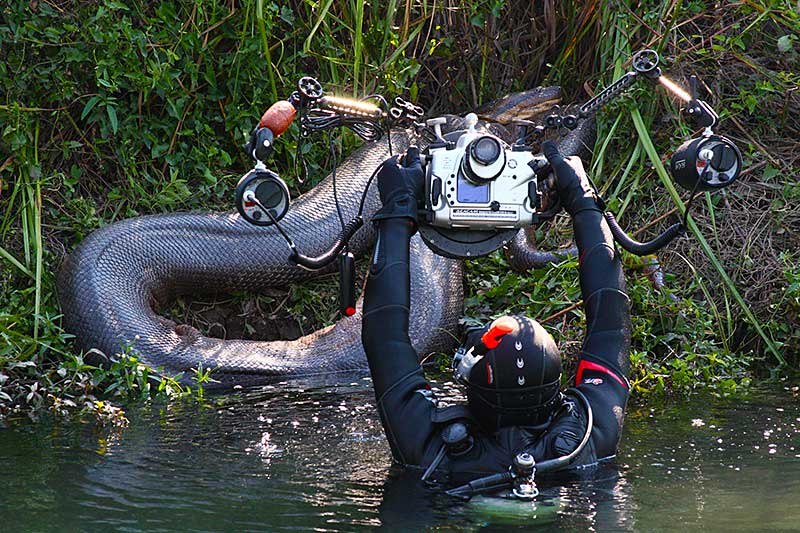 800x533, 152 Kb / удав, река, водолаз, камера, смельчак, шлем