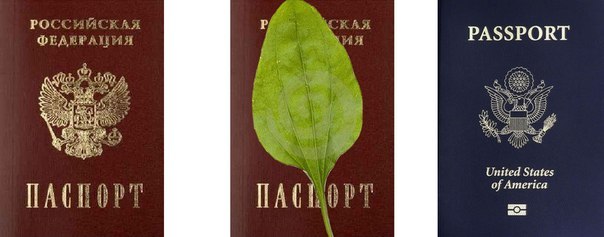 604x237, 31 Kb / рашка