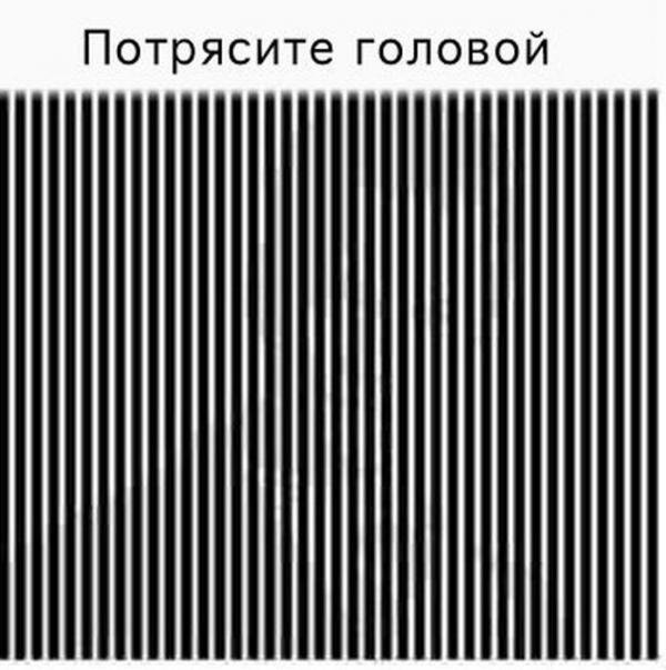 600x603, 57 Kb / полоски, мужик, оптическая иллюзия