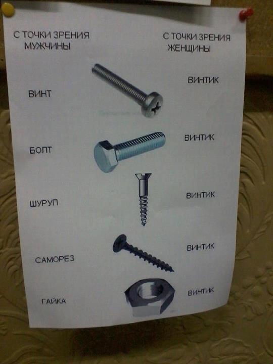 540x720, 33 Kb / мужчина, женщина, точка зрения, винтик, болт, саморез, шуруп, винт, гайка