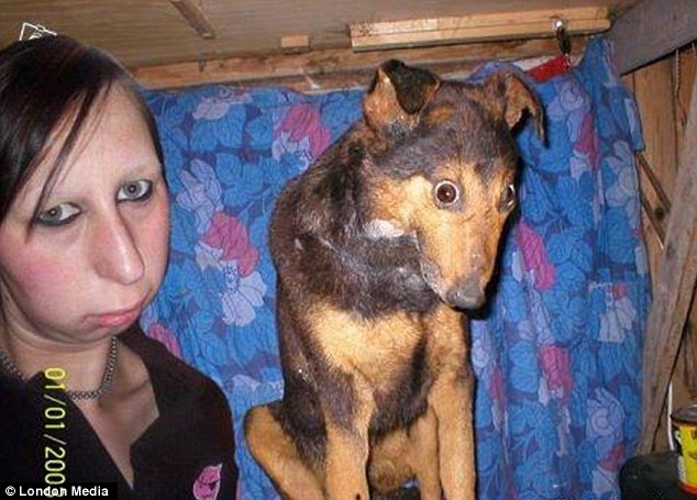 634x455, 78 Kb / чучела, собака, девушка, чучело