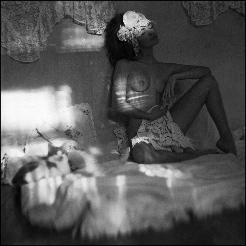 800x800, 177 Kb / девушка, постель, котэ, свет, тень, ч/б