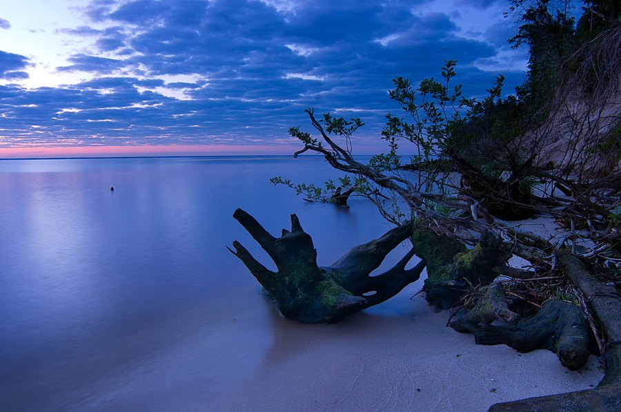 900x598, 115 Kb / корни, киевское, море