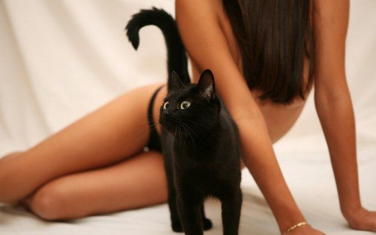 750x468, 146 Kb / двушка, черная кошка, трусики