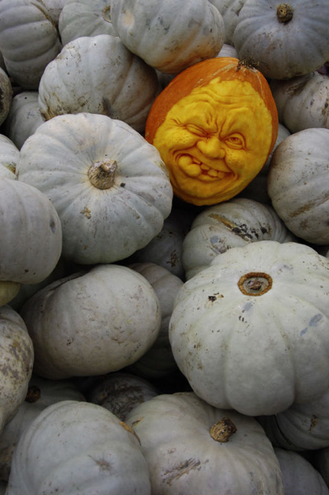 677x1018, 119 Kb / тыквы, хеллоуин