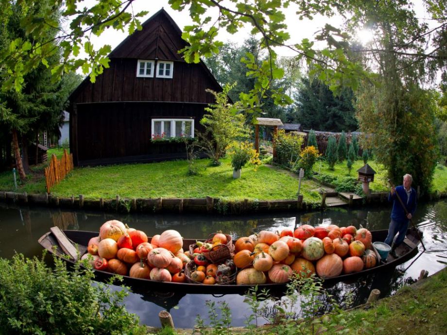 920x690, 147 Kb / тыквы, лодка, канал