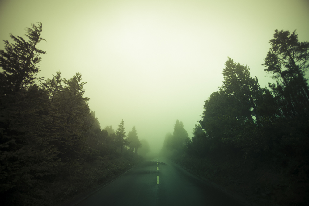 1000x667, 195 Kb / дорога, лес, туман, деревья, фильтр