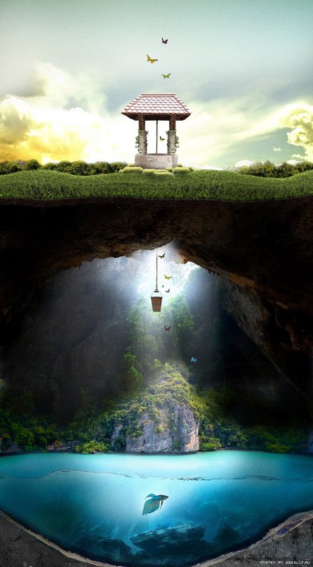 446x807, 76 Kb / ведро, вода, рыбы, колодец, трава